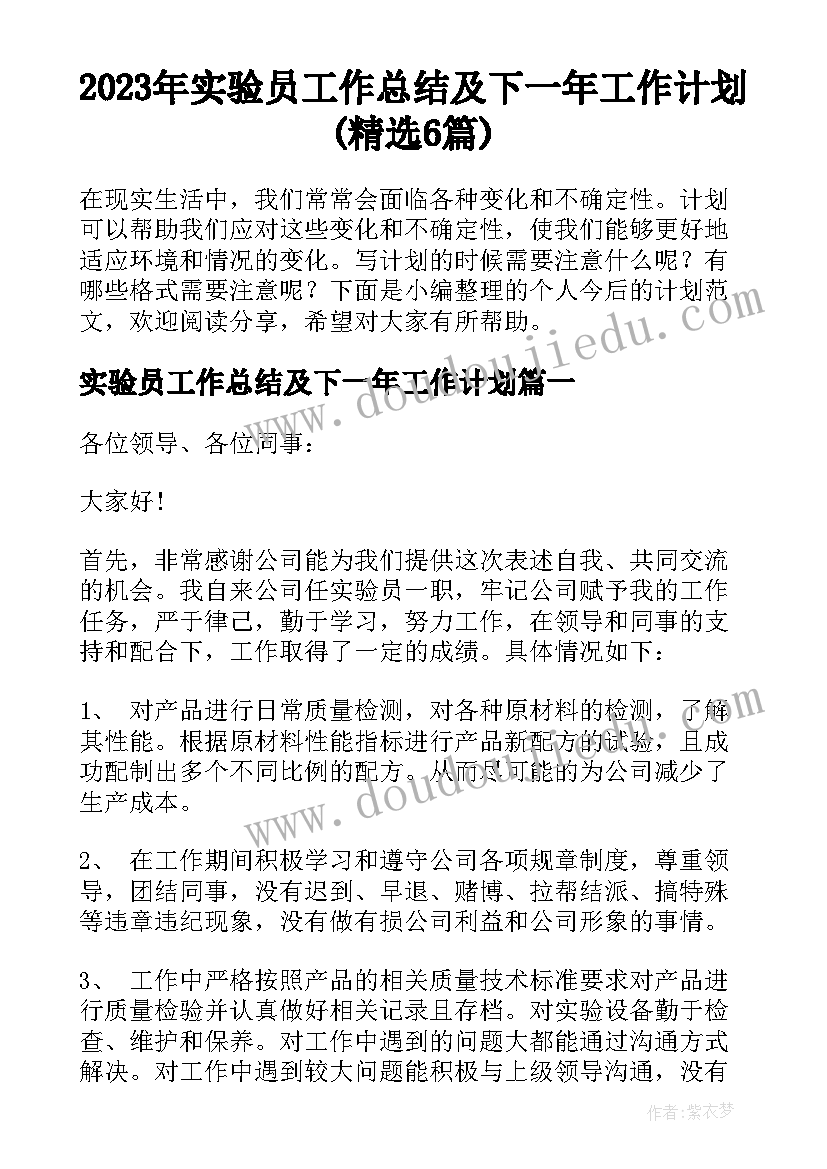 2023年实验员工作总结及下一年工作计划(精选6篇)