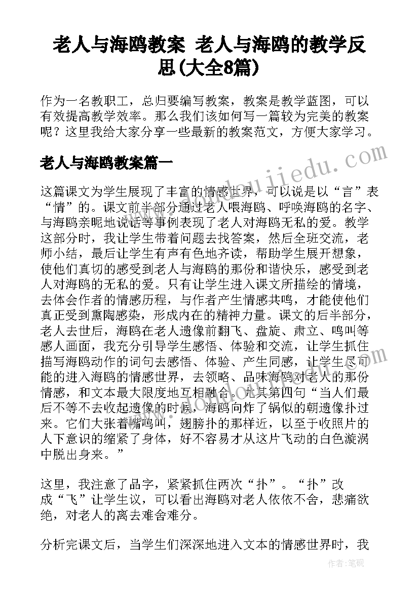 老人与海鸥教案 老人与海鸥的教学反思(大全8篇)