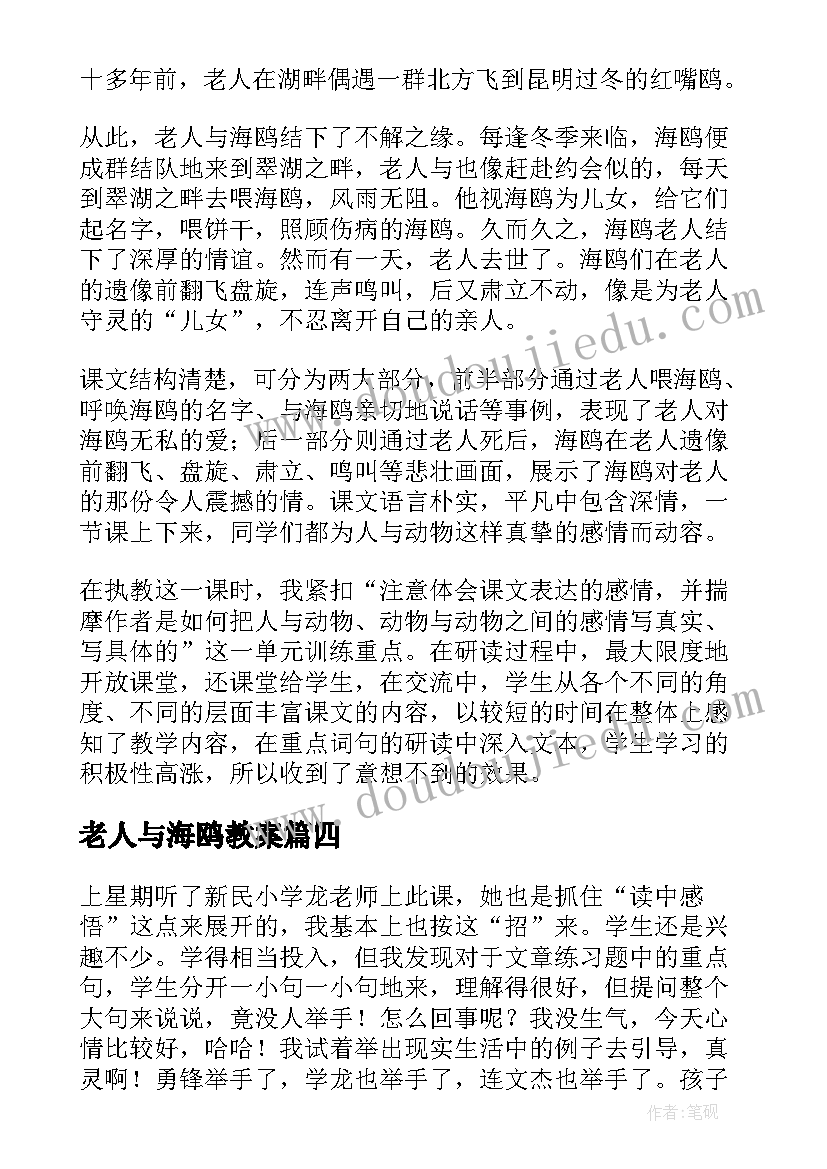 老人与海鸥教案 老人与海鸥的教学反思(大全8篇)