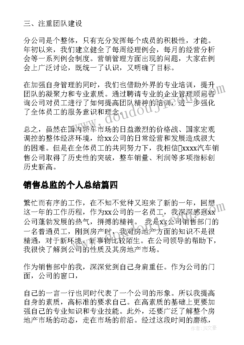 2023年销售总监的个人总结(精选8篇)