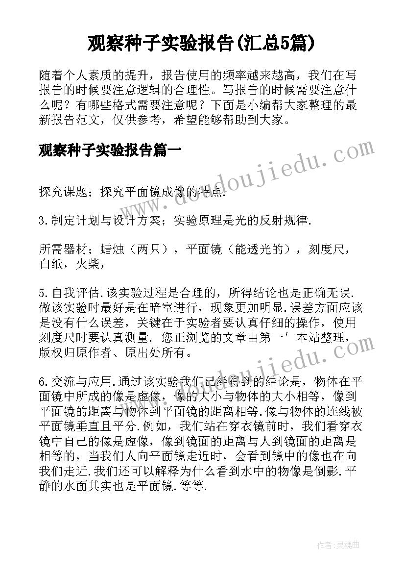 观察种子实验报告(汇总5篇)