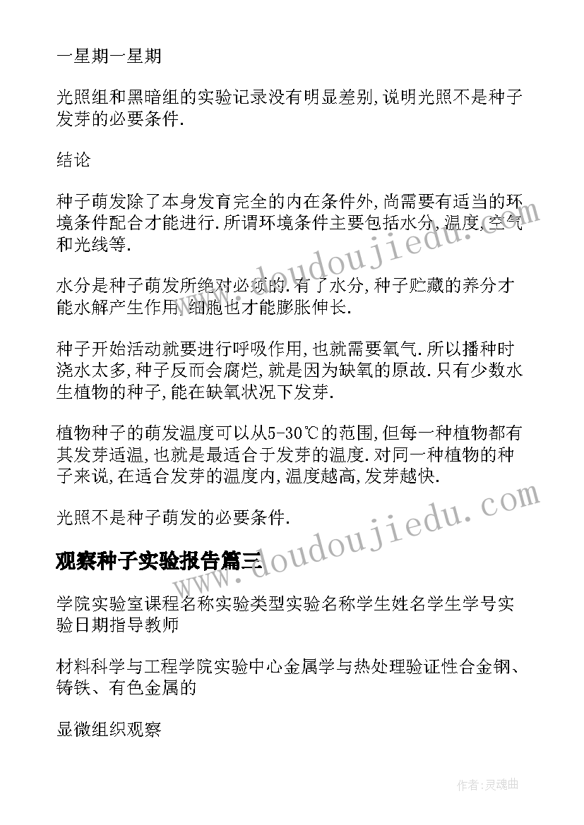 观察种子实验报告(汇总5篇)