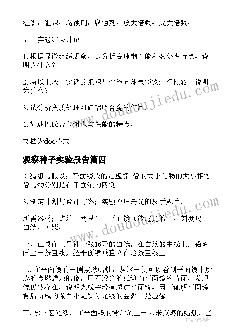 观察种子实验报告(汇总5篇)