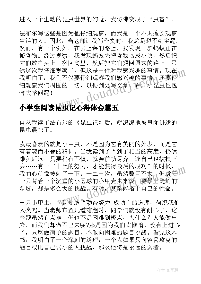 2023年小学生阅读昆虫记心得体会 昆虫记读书心得学生(通用5篇)