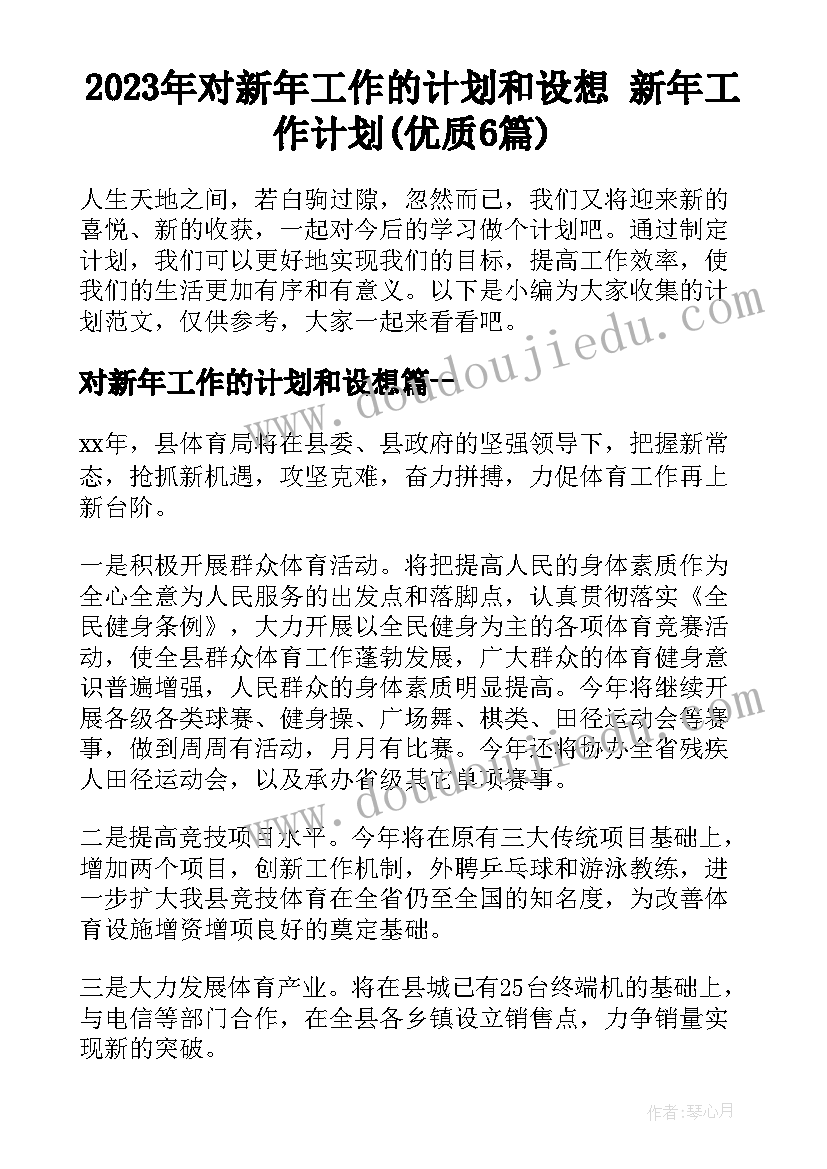 2023年对新年工作的计划和设想 新年工作计划(优质6篇)