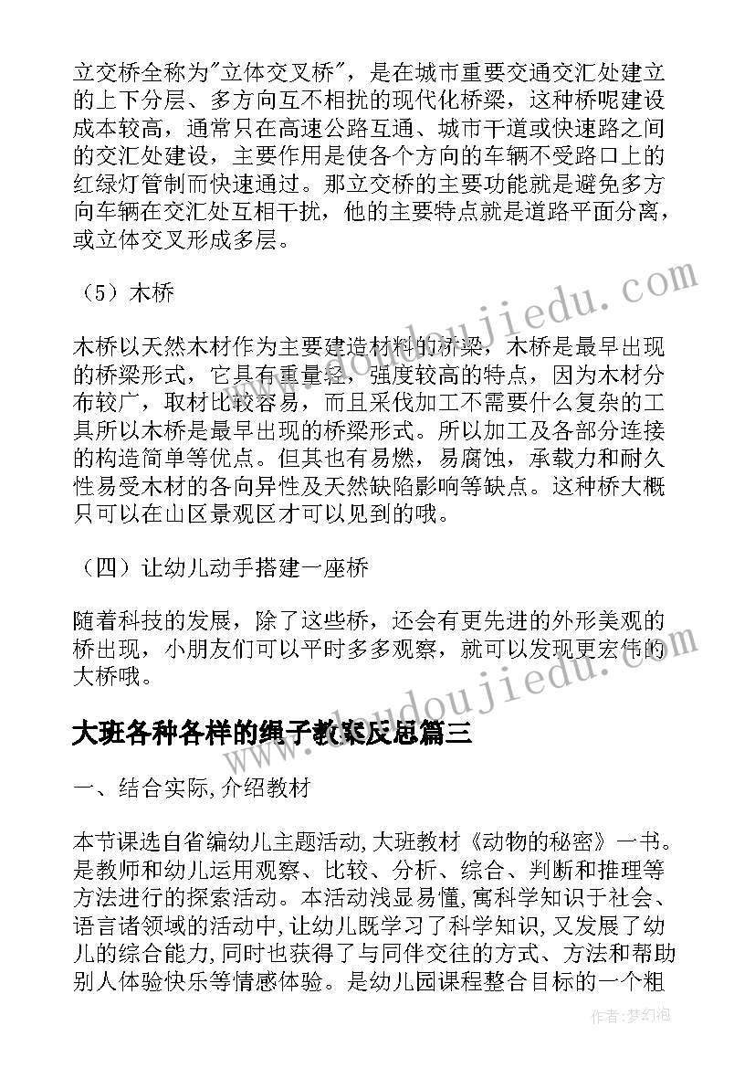 大班各种各样的绳子教案反思(汇总7篇)