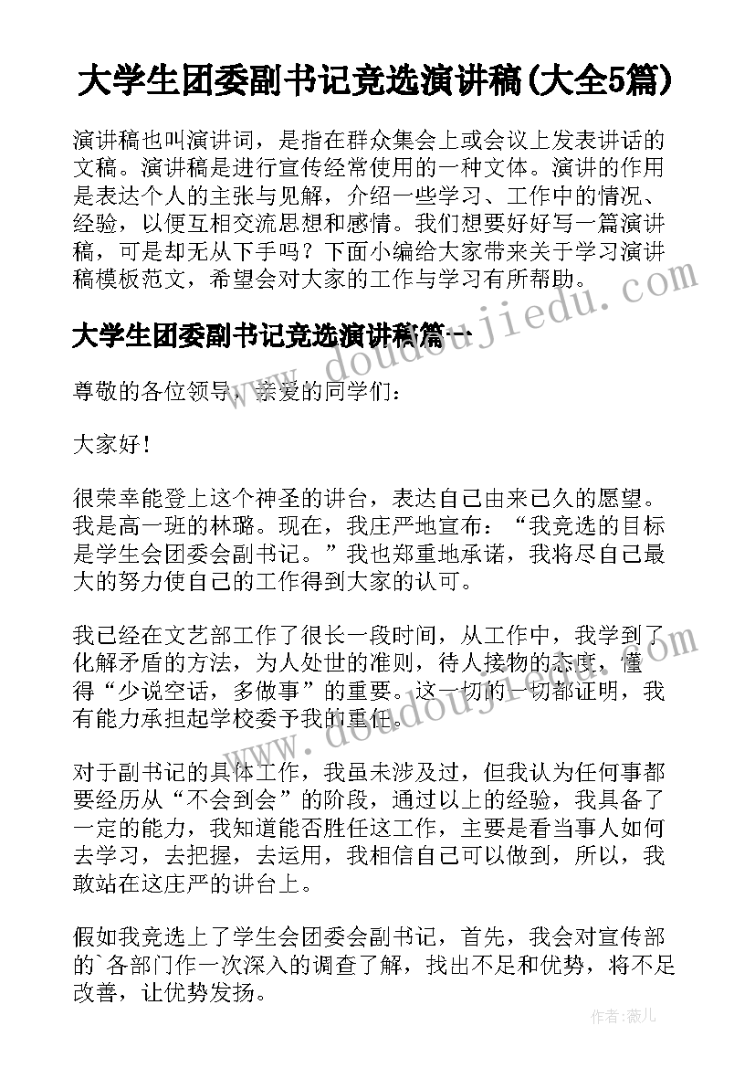 大学生团委副书记竞选演讲稿(大全5篇)