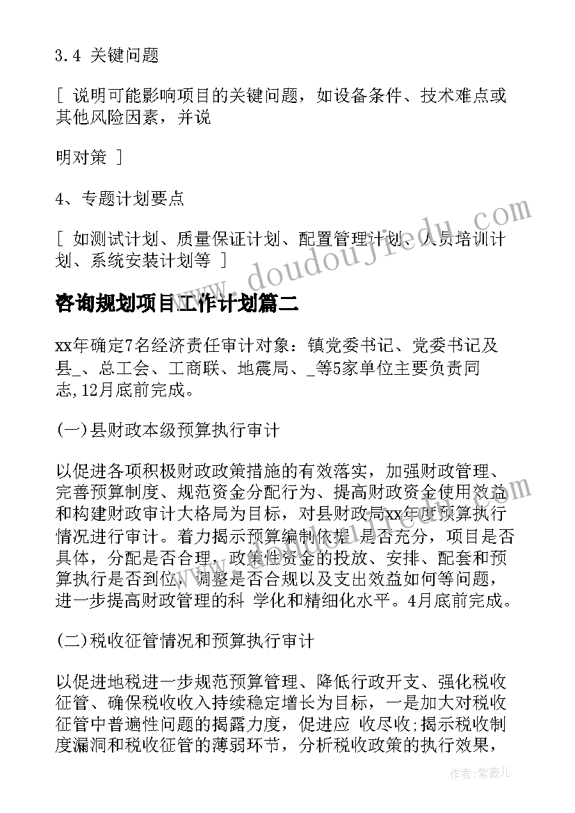 2023年咨询规划项目工作计划 规划项目工作计划(优秀5篇)