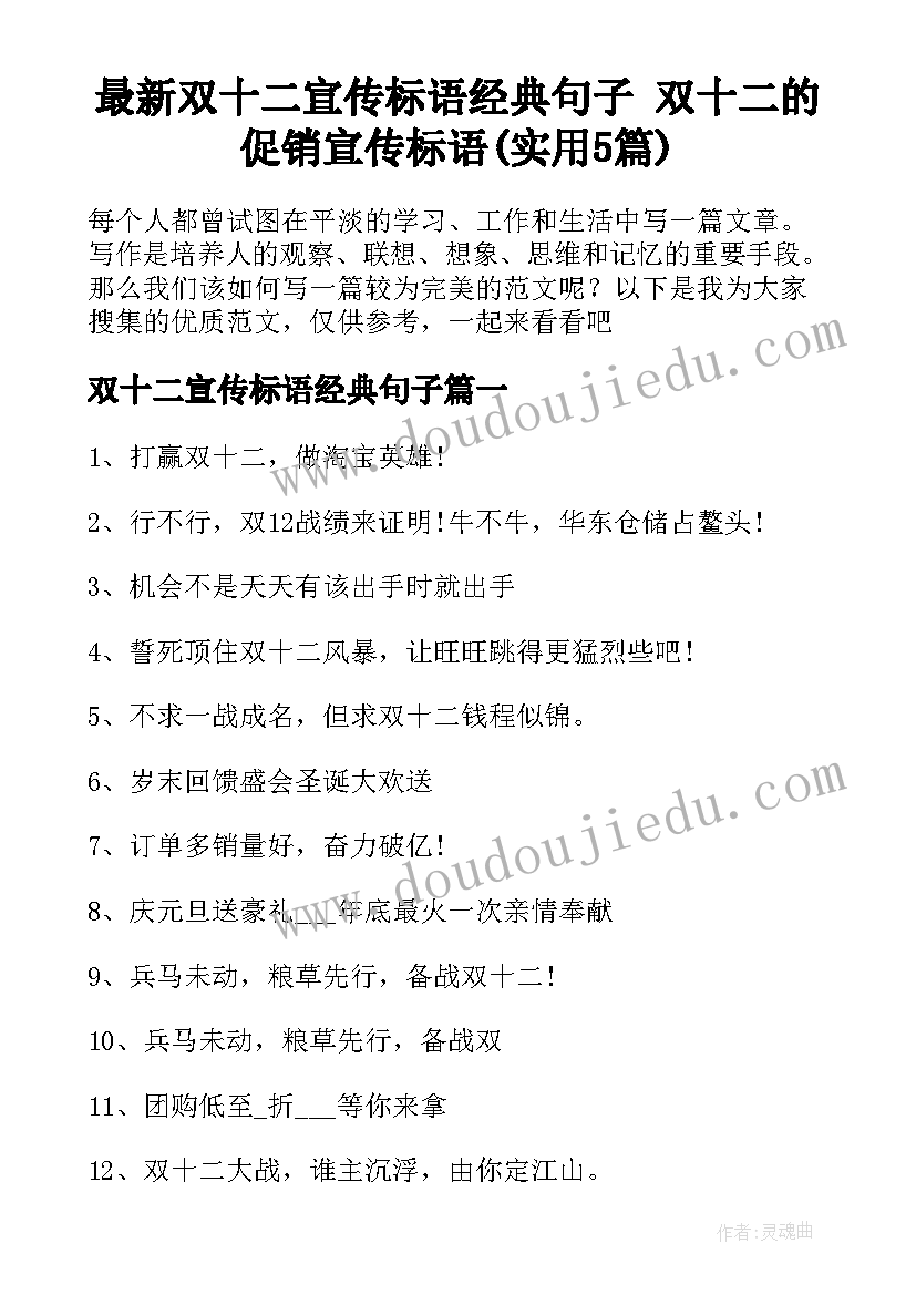 最新双十二宣传标语经典句子 双十二的促销宣传标语(实用5篇)