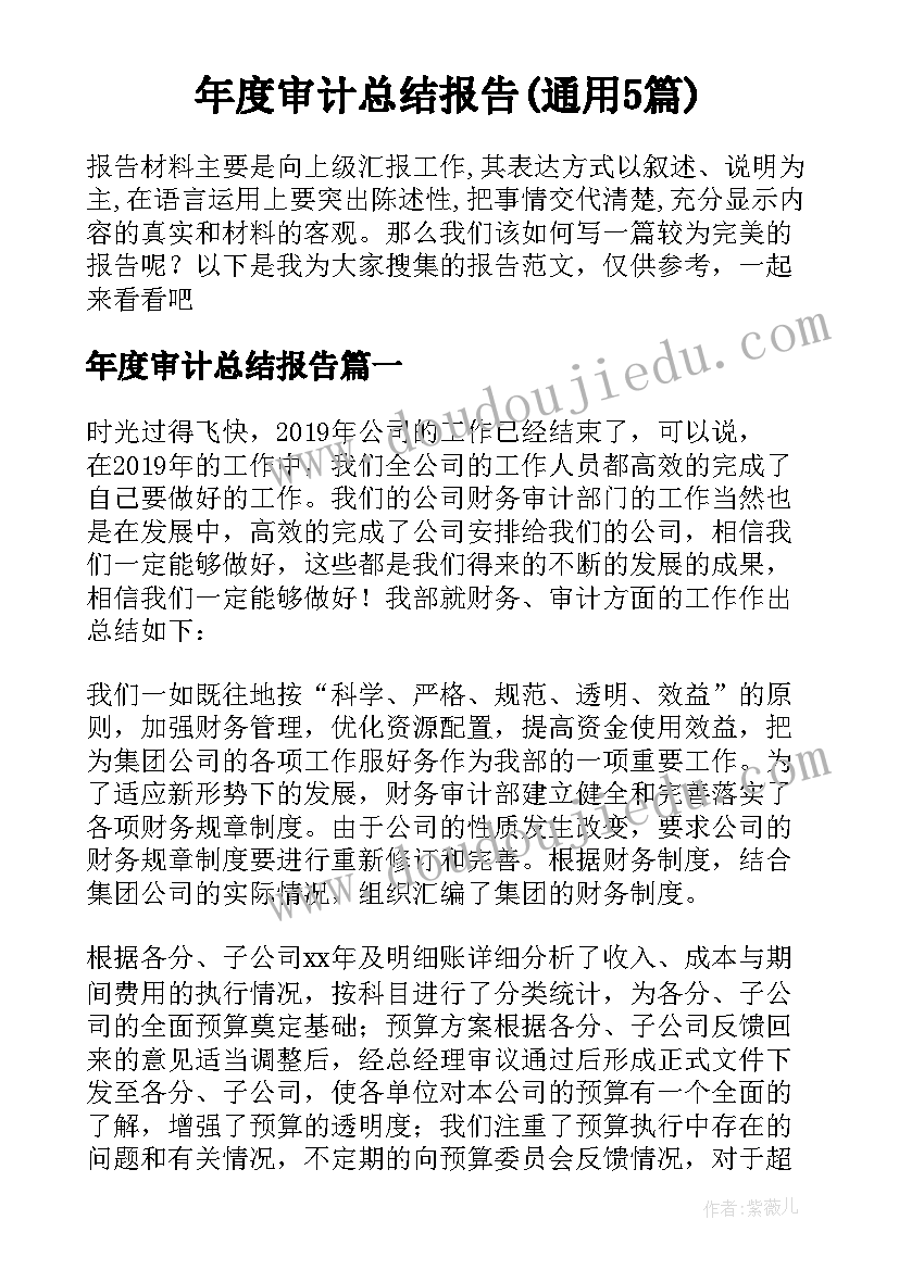 年度审计总结报告(通用5篇)