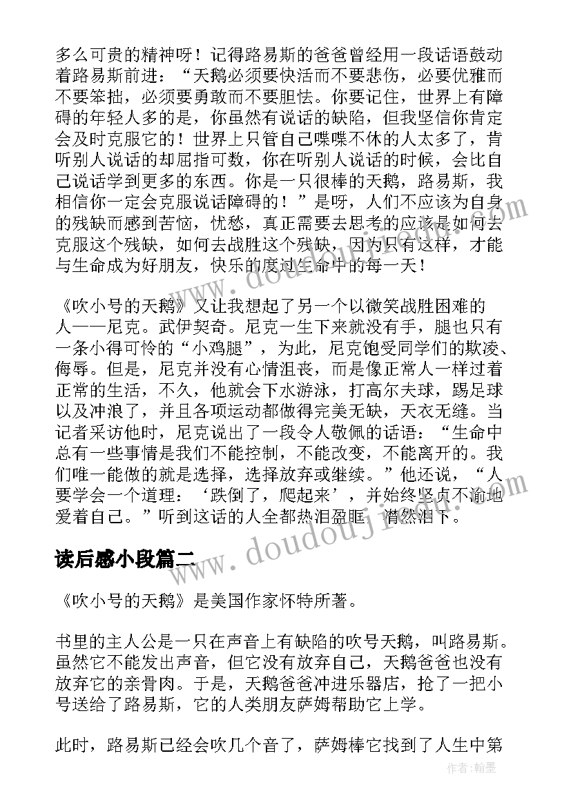 2023年读后感小段 吹小号的天鹅读后感(优质6篇)