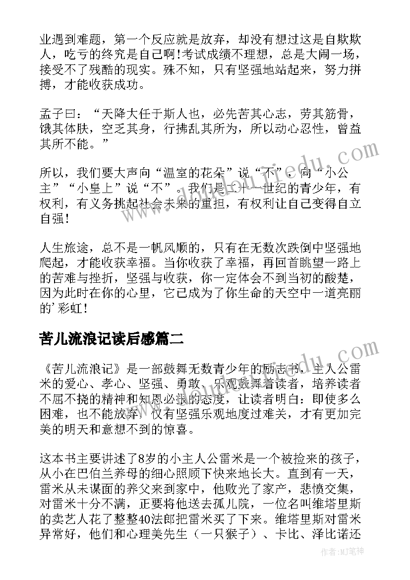 2023年苦儿流浪记读后感(优质10篇)