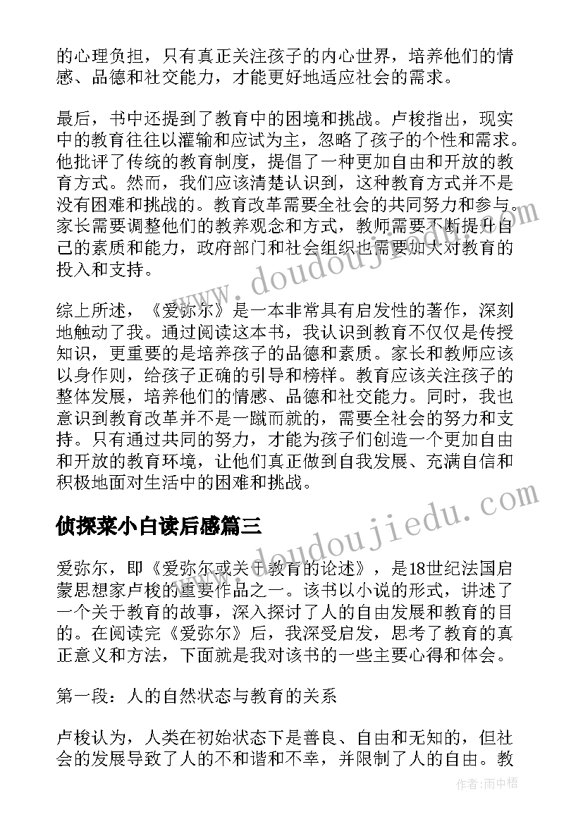 2023年侦探菜小白读后感 爱弥尔读后感心得体会(优质8篇)