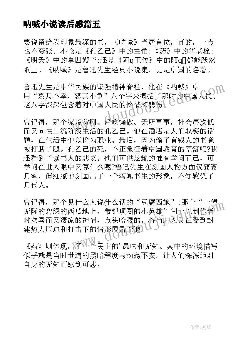 呐喊小说读后感(实用5篇)