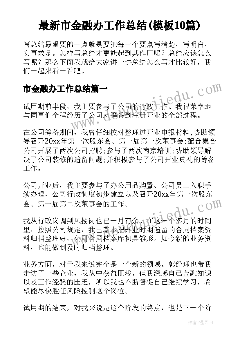 最新市金融办工作总结(模板10篇)