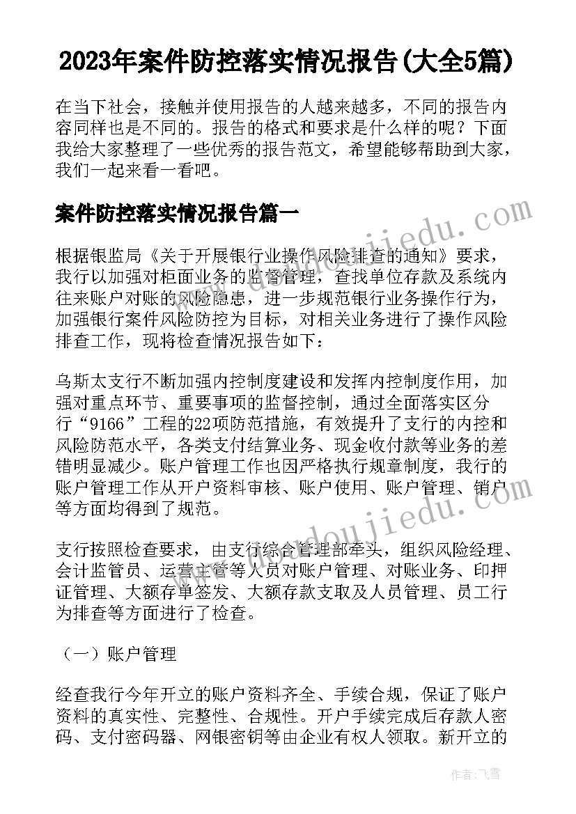 2023年案件防控落实情况报告(大全5篇)