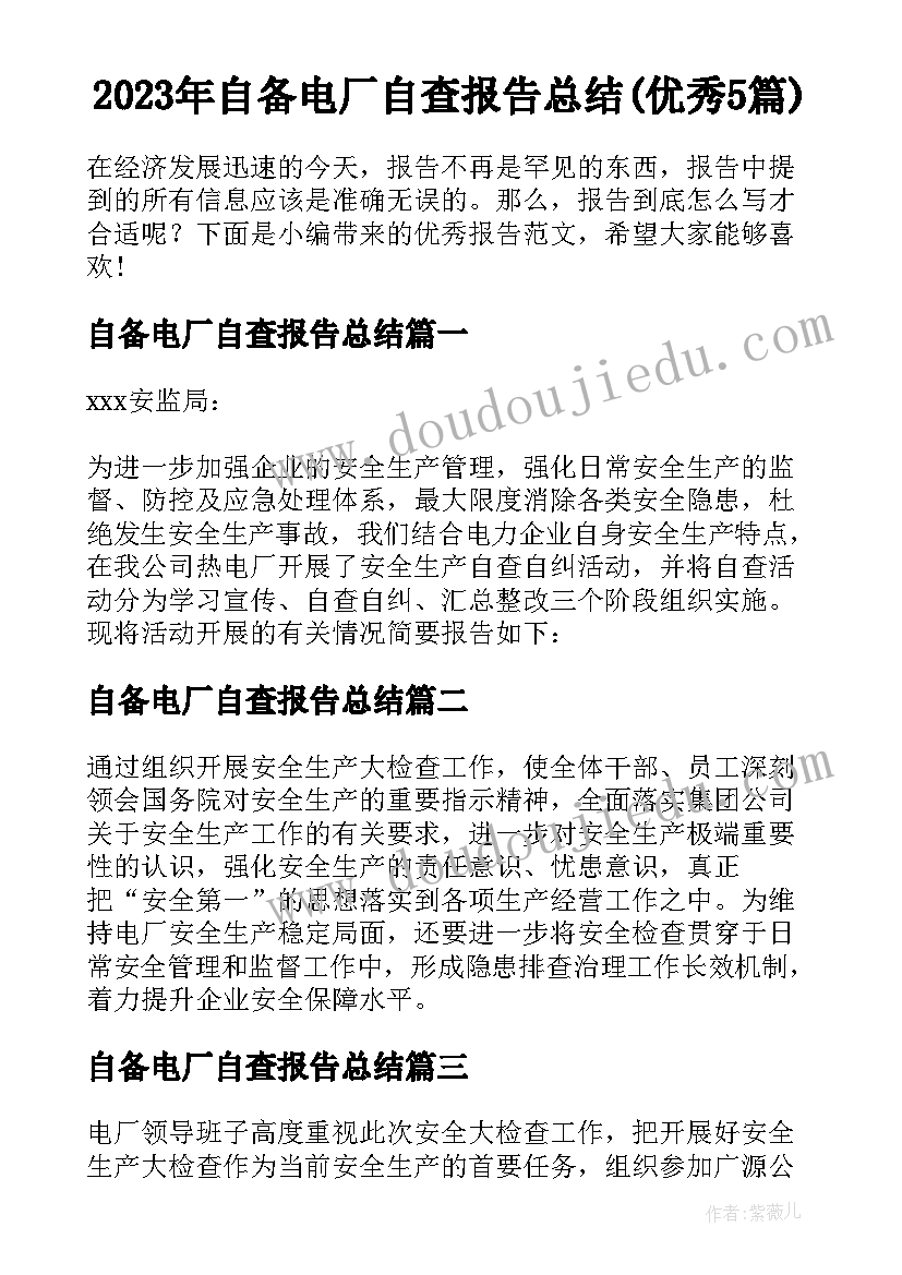 2023年自备电厂自查报告总结(优秀5篇)