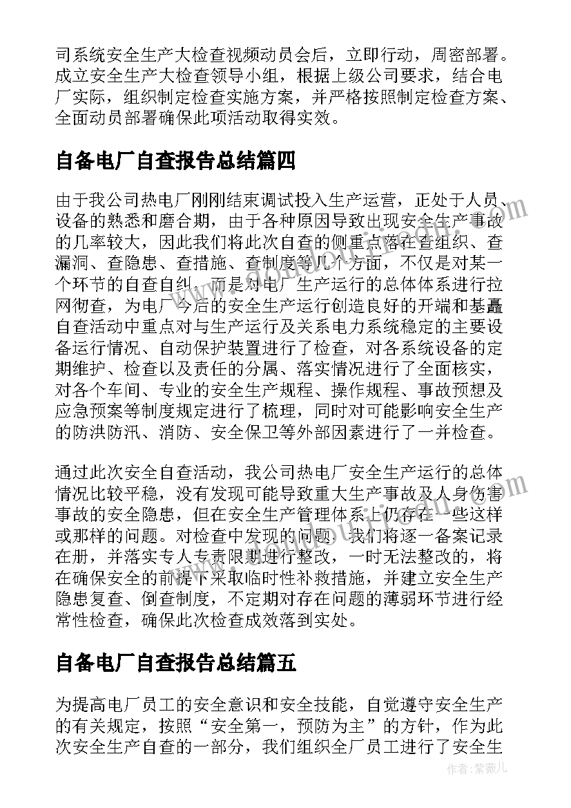 2023年自备电厂自查报告总结(优秀5篇)