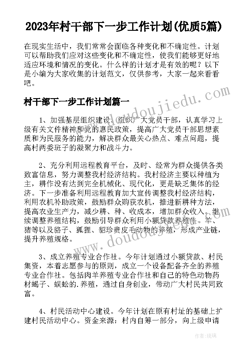 2023年村干部下一步工作计划(优质5篇)