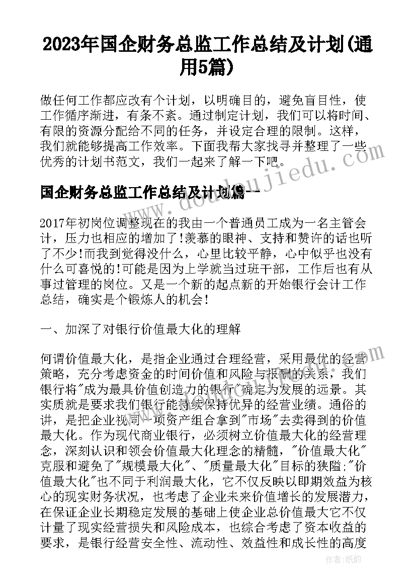 2023年国企财务总监工作总结及计划(通用5篇)