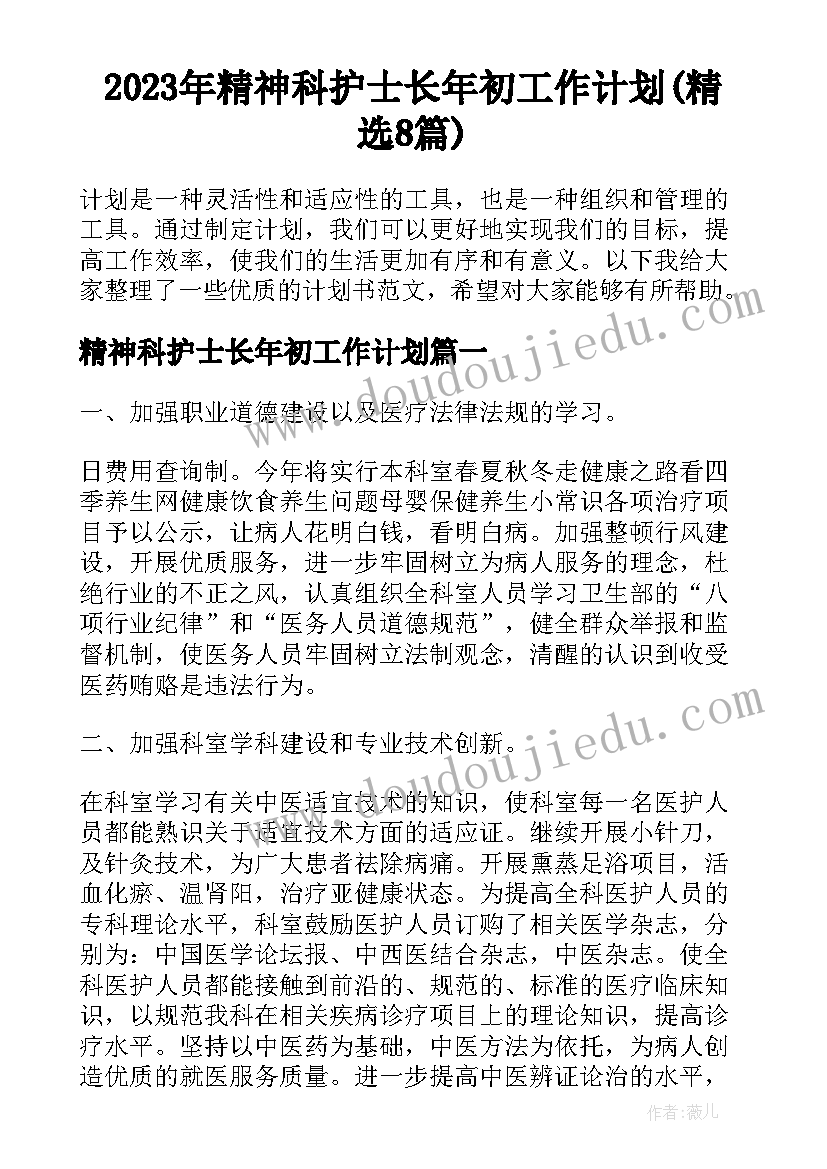 2023年精神科护士长年初工作计划(精选8篇)