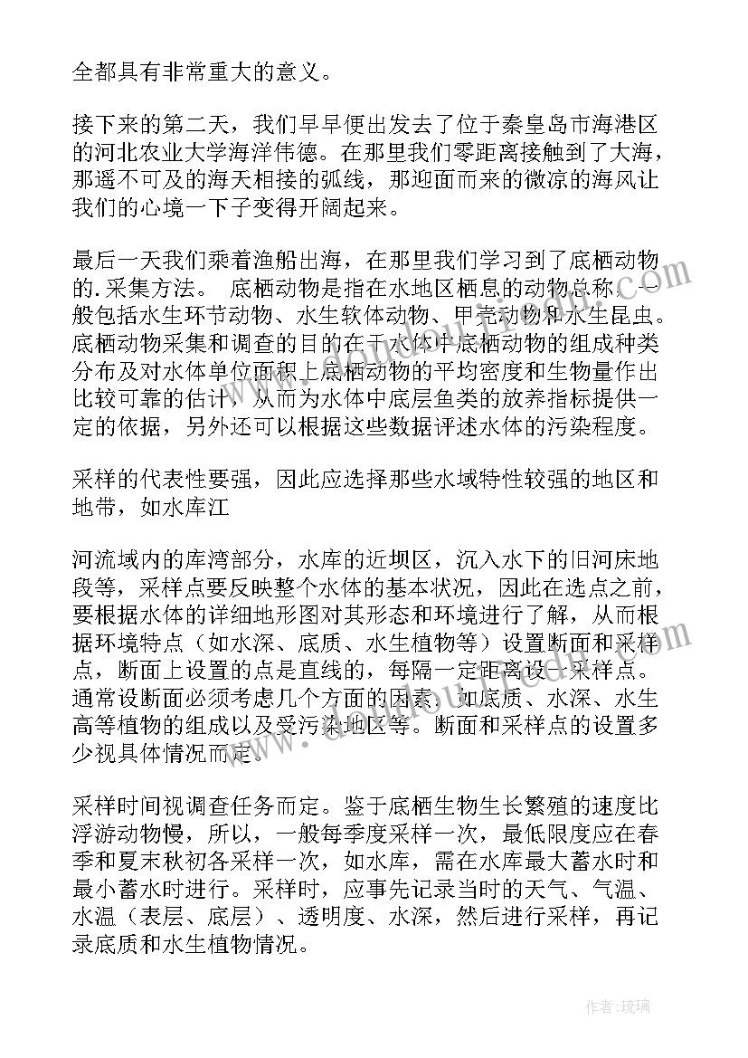 2023年上海上嵌培训是骗局吗 海上实习报告(大全5篇)