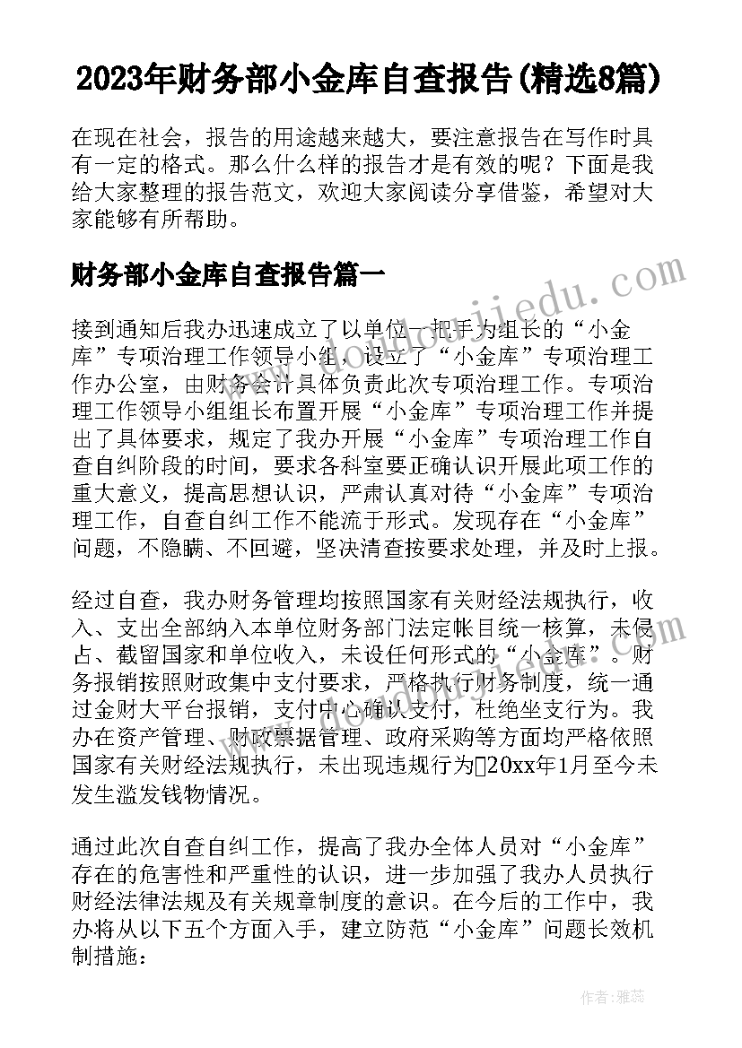 2023年财务部小金库自查报告(精选8篇)