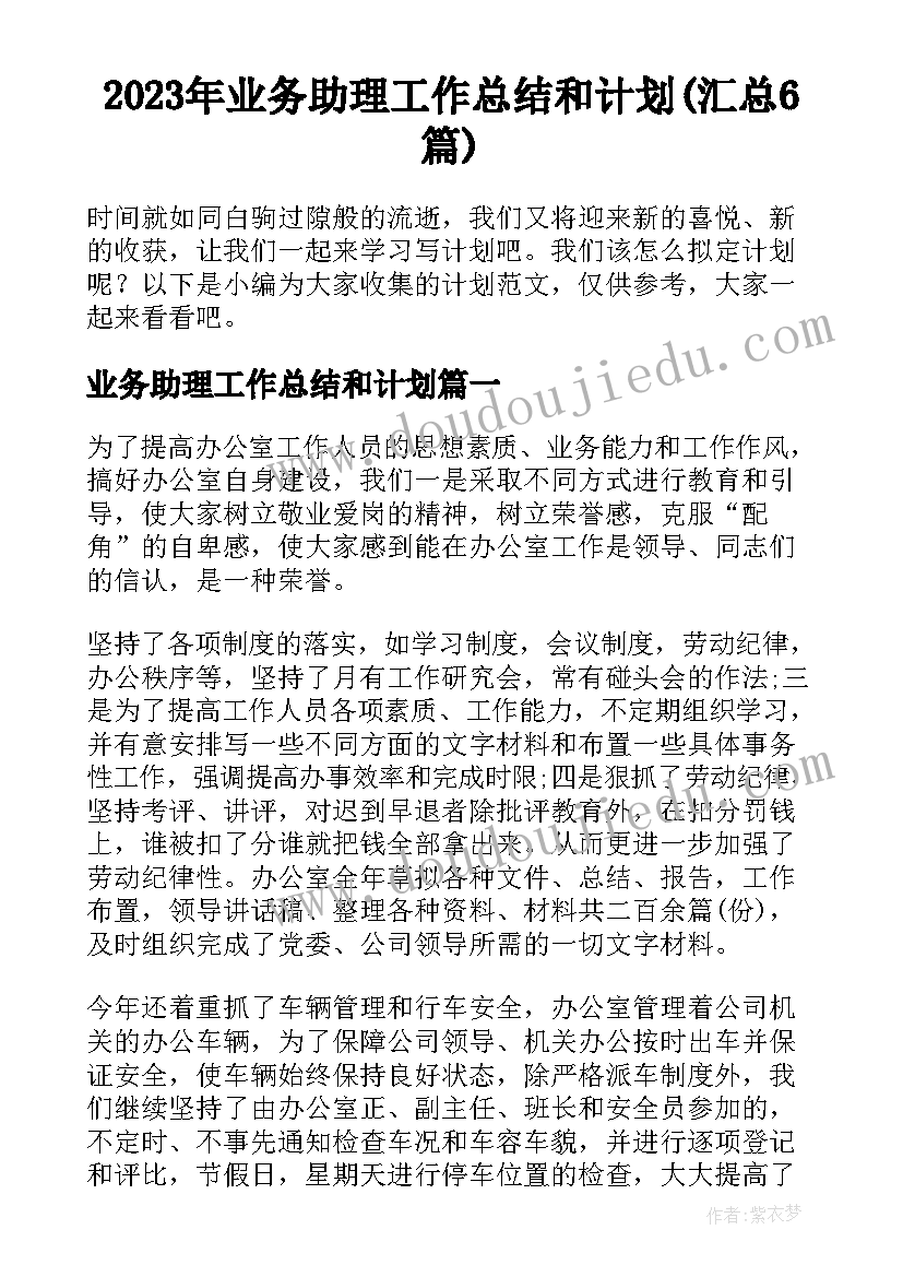 2023年业务助理工作总结和计划(汇总6篇)