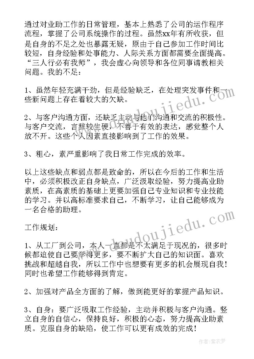 2023年业务助理工作总结和计划(汇总6篇)