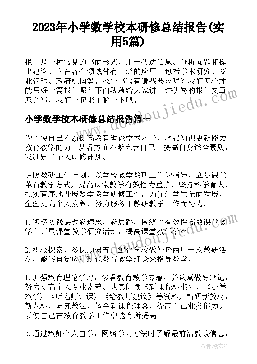 2023年小学数学校本研修总结报告(实用5篇)