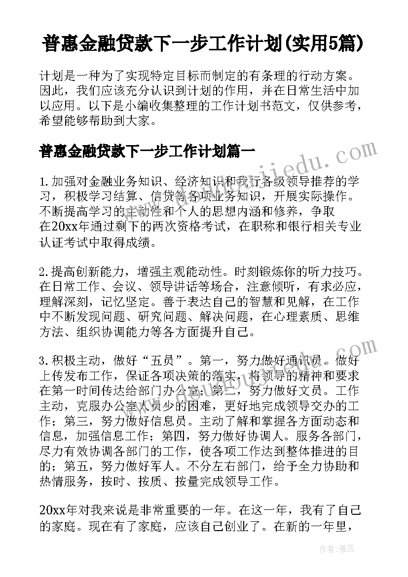 普惠金融贷款下一步工作计划(实用5篇)