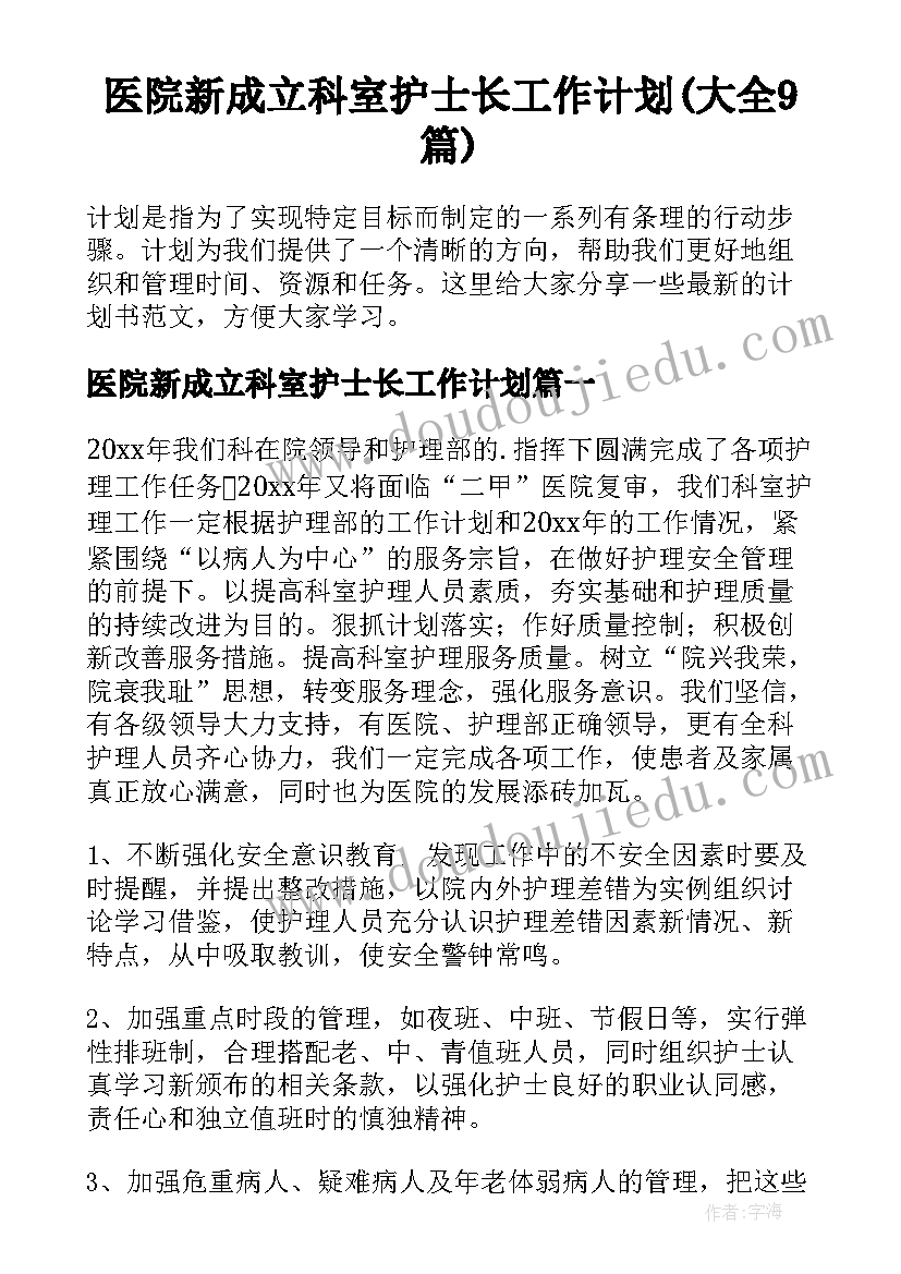 医院新成立科室护士长工作计划(大全9篇)