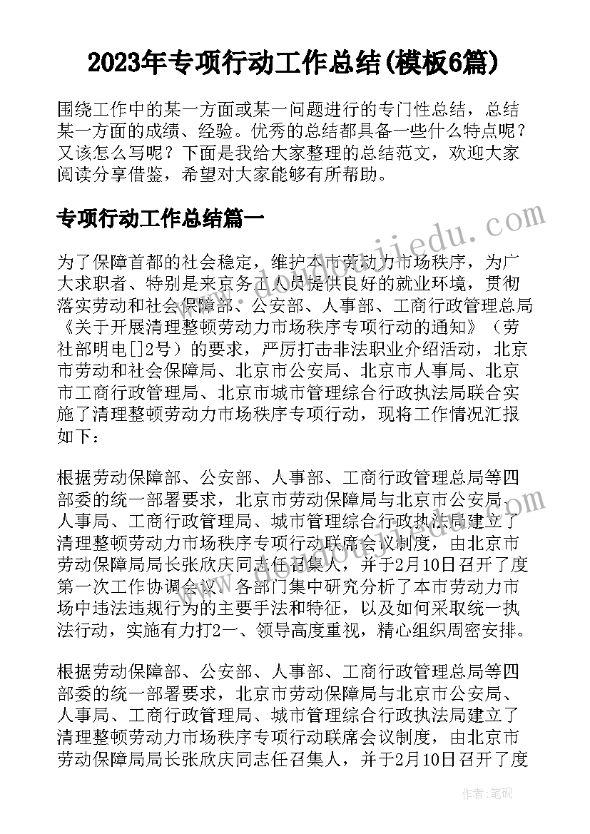 2023年专项行动工作总结(模板6篇)