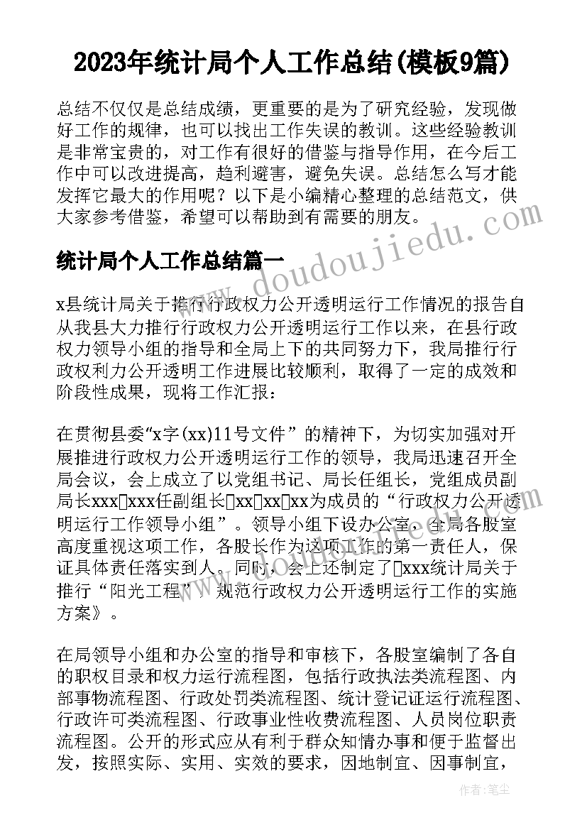 2023年统计局个人工作总结(模板9篇)