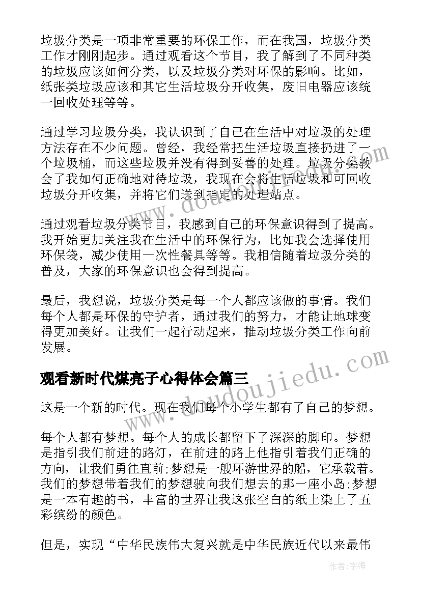 2023年观看新时代煤亮子心得体会(大全10篇)