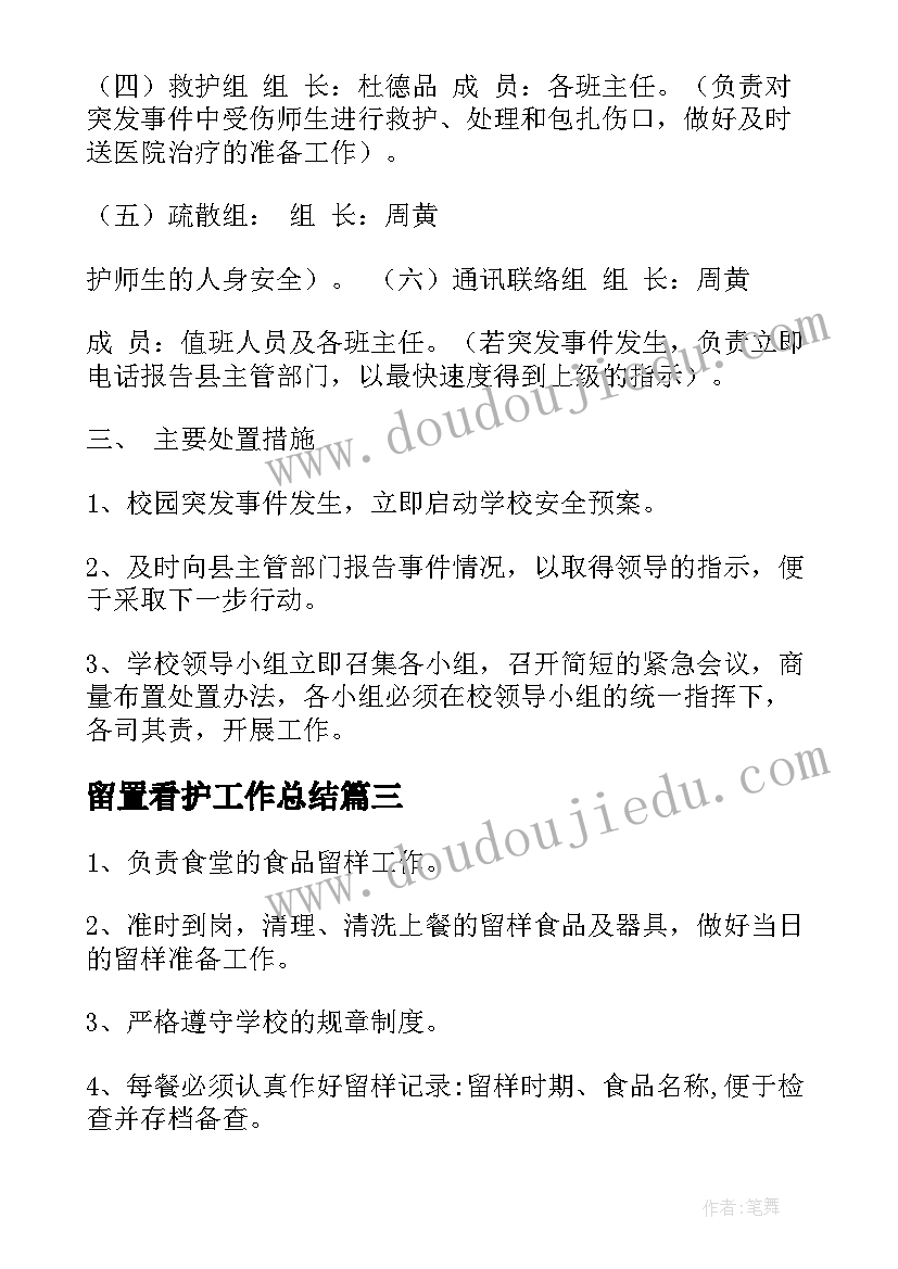 2023年留置看护工作总结(精选5篇)