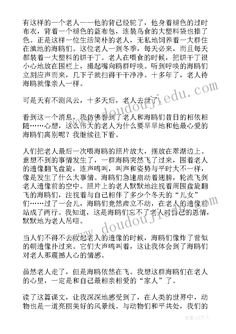 2023年老人与海高中生读后感 老人与海学生读后感(精选8篇)