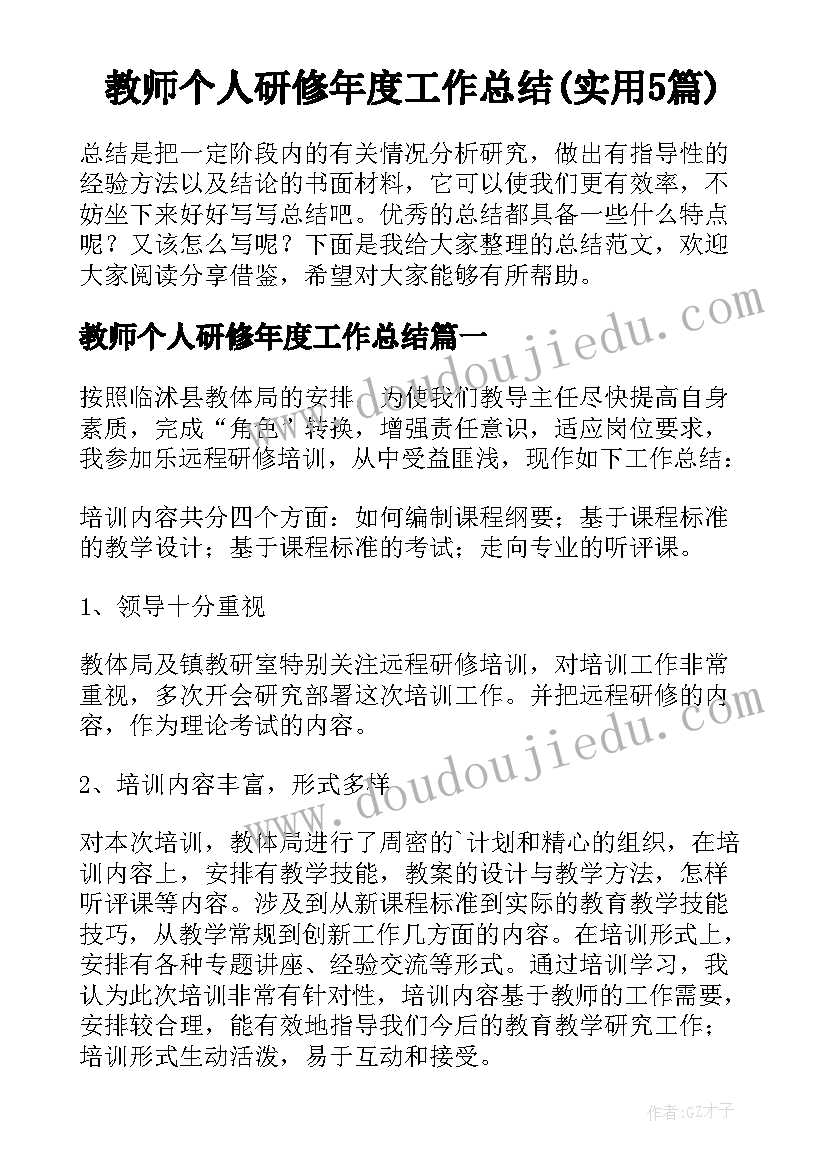 教师个人研修年度工作总结(实用5篇)