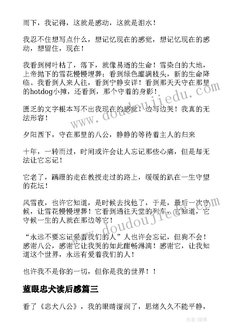 最新蓝眼忠犬读后感 忠犬八公读后感(模板6篇)