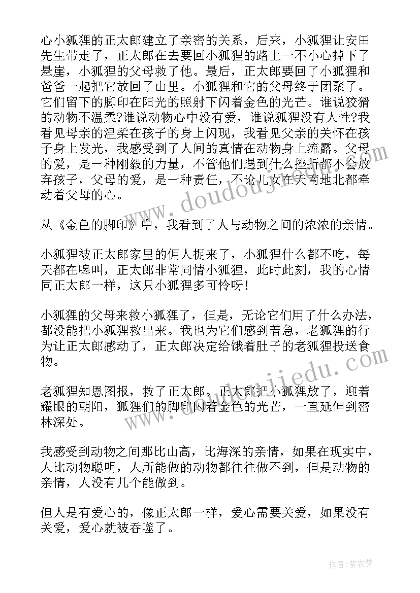 最新金色花读后感二年级 金色花读后感(实用9篇)