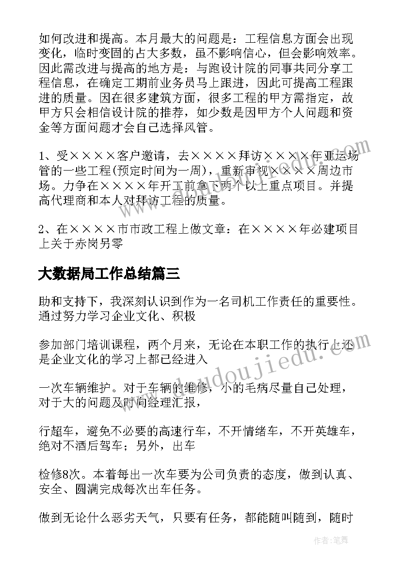 最新大数据局工作总结(优秀9篇)