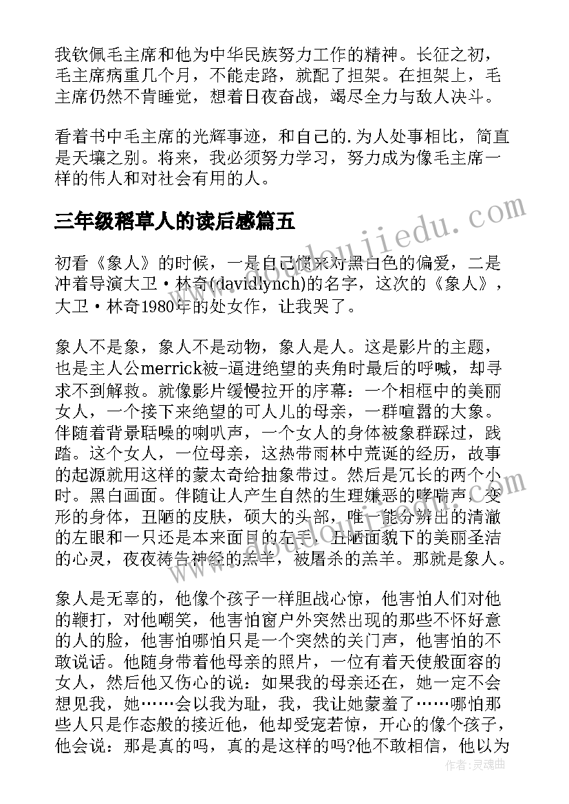 三年级稻草人的读后感 伟人的读后感(大全5篇)