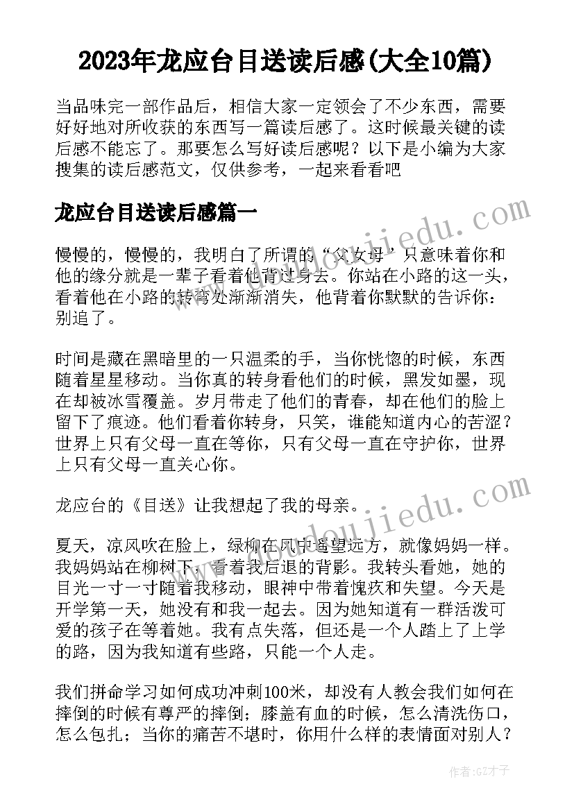 2023年龙应台目送读后感(大全10篇)