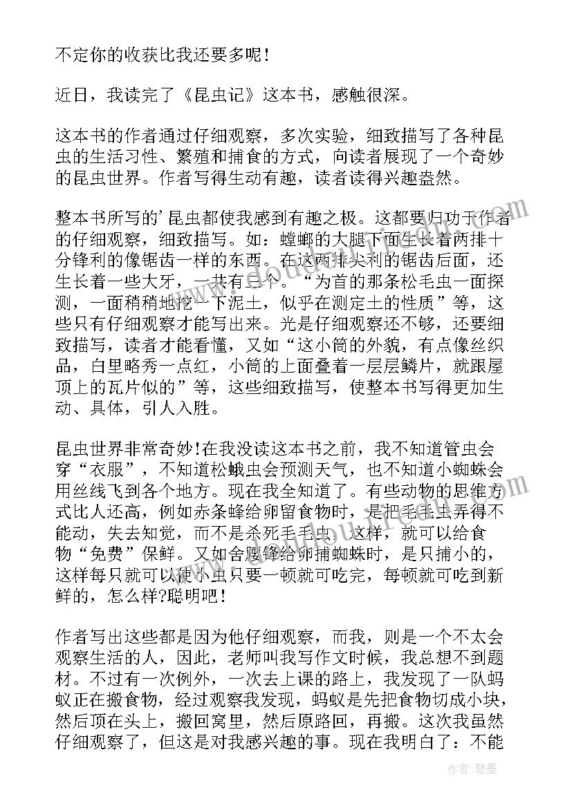 最新毛毛虫的故事读后感(优秀5篇)