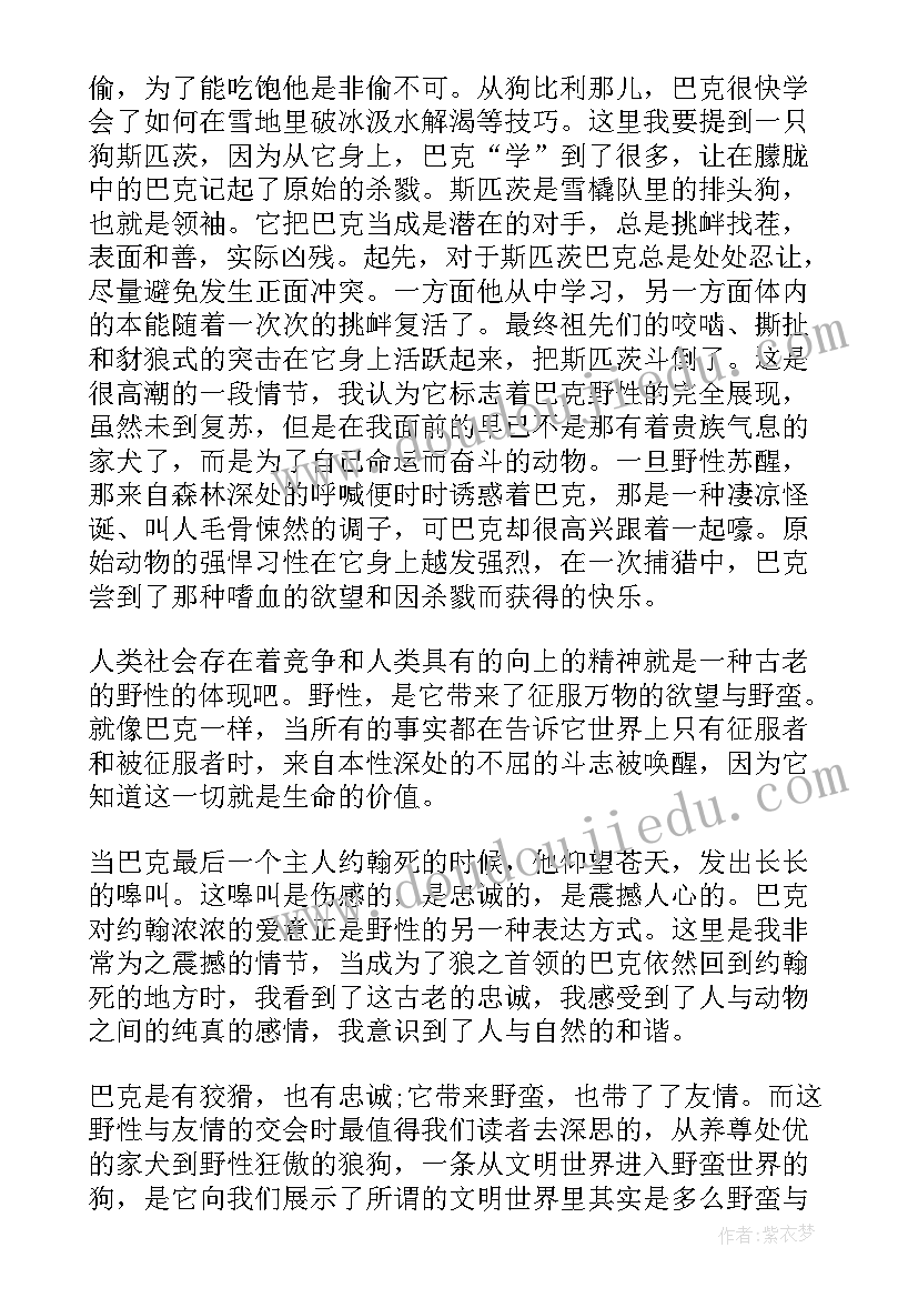 最新野性的呼唤读后感(大全5篇)