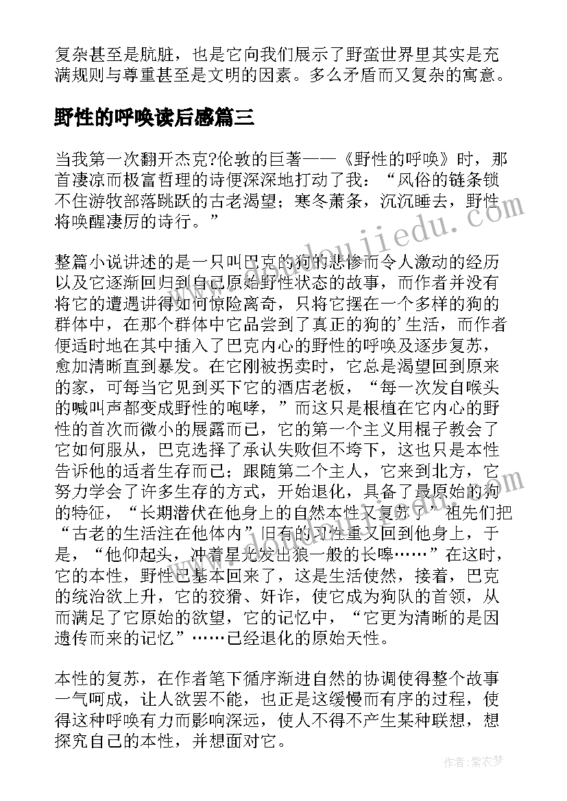 最新野性的呼唤读后感(大全5篇)