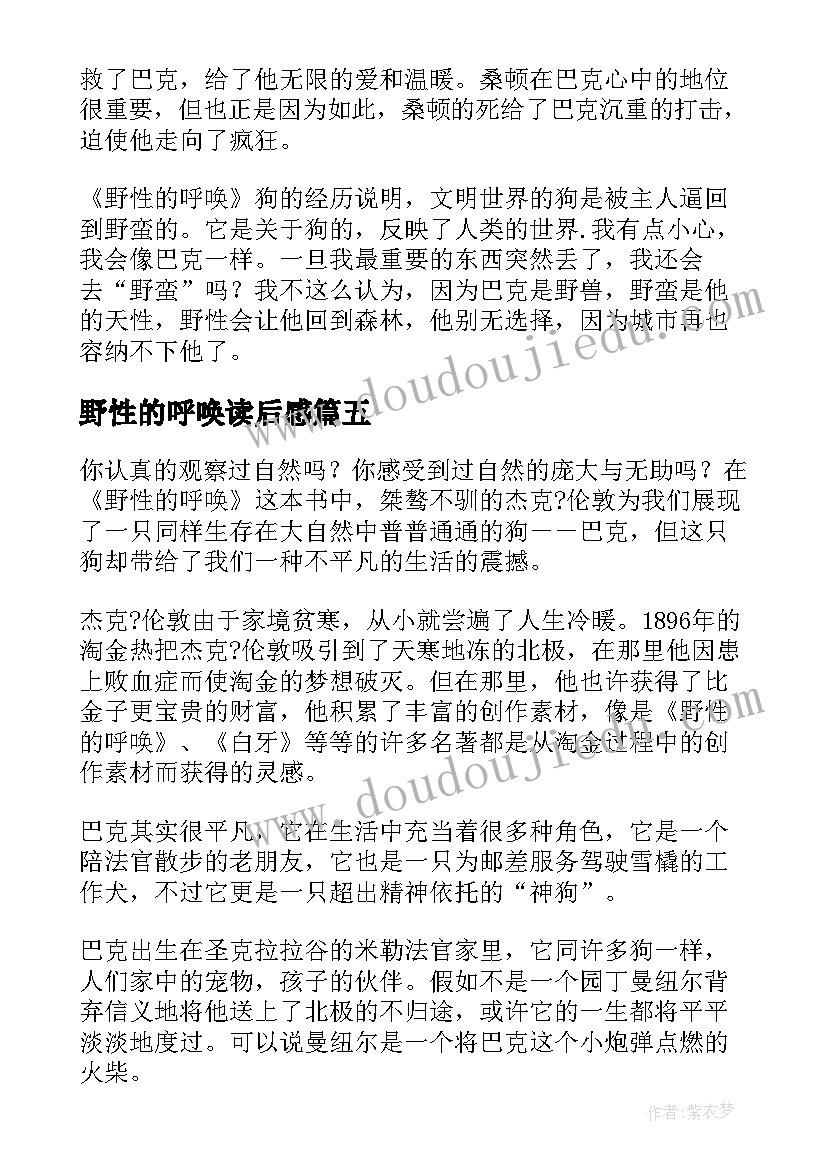 最新野性的呼唤读后感(大全5篇)