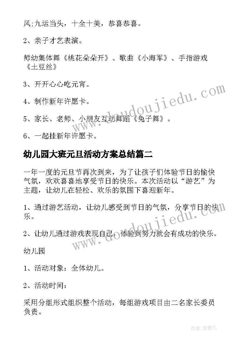 幼儿园大班元旦活动方案总结(精选8篇)