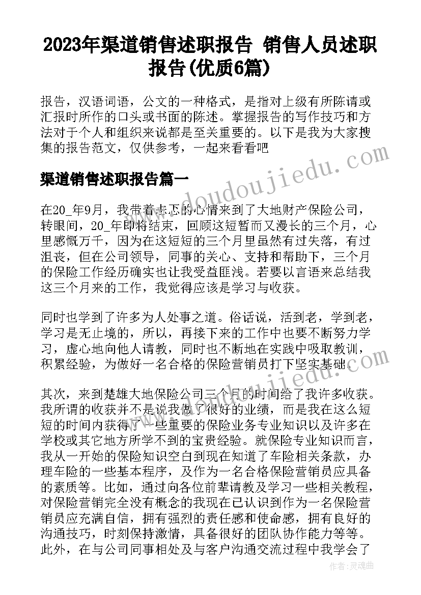 2023年渠道销售述职报告 销售人员述职报告(优质6篇)