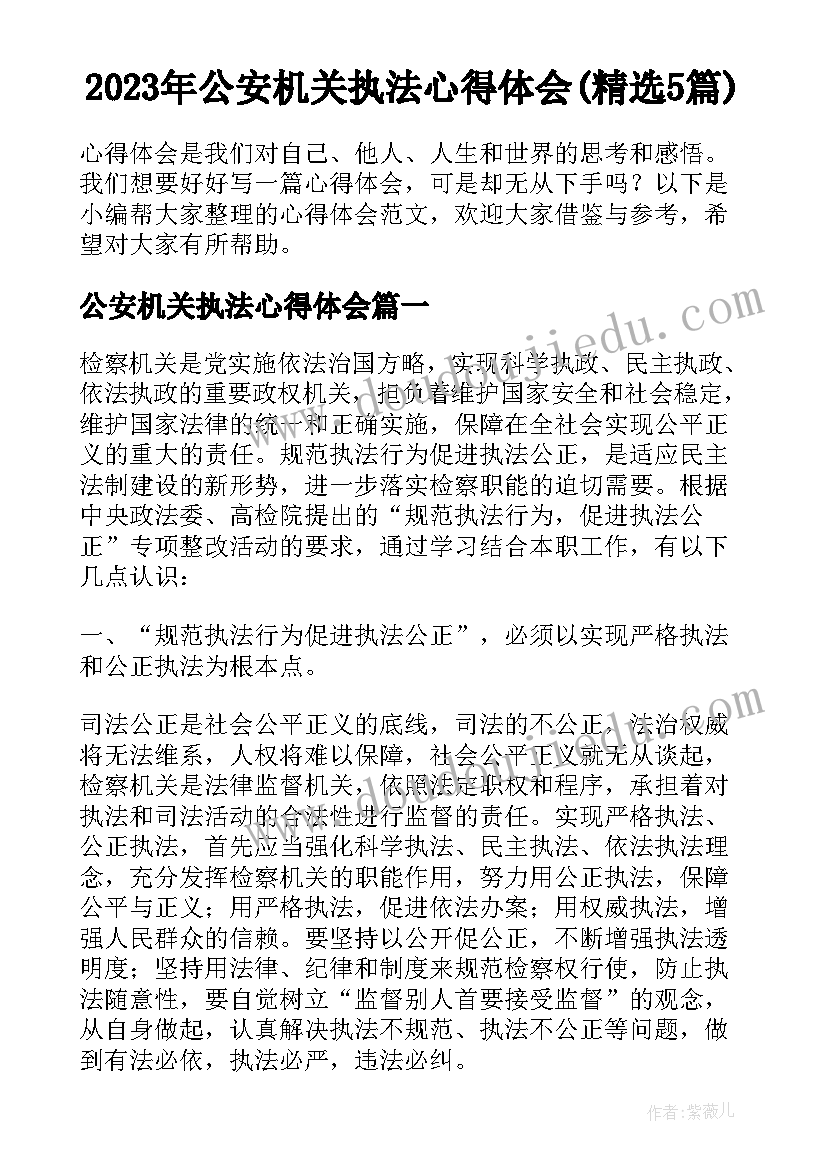 2023年公安机关执法心得体会(精选5篇)